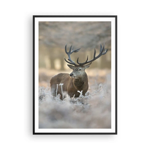 Plakát v černém rámu - Svěží ráno - 70x100 cm