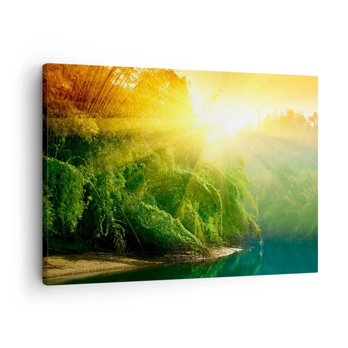 Obraz na plátně - Zelený les u řeky, ozářený paprsky vycházejícího slunce - 70x50cm - Utopit se ve sluncí a ve stínu - Moderní nástěnná dekorace do obývacího pokoje a ložnice ARTTOR