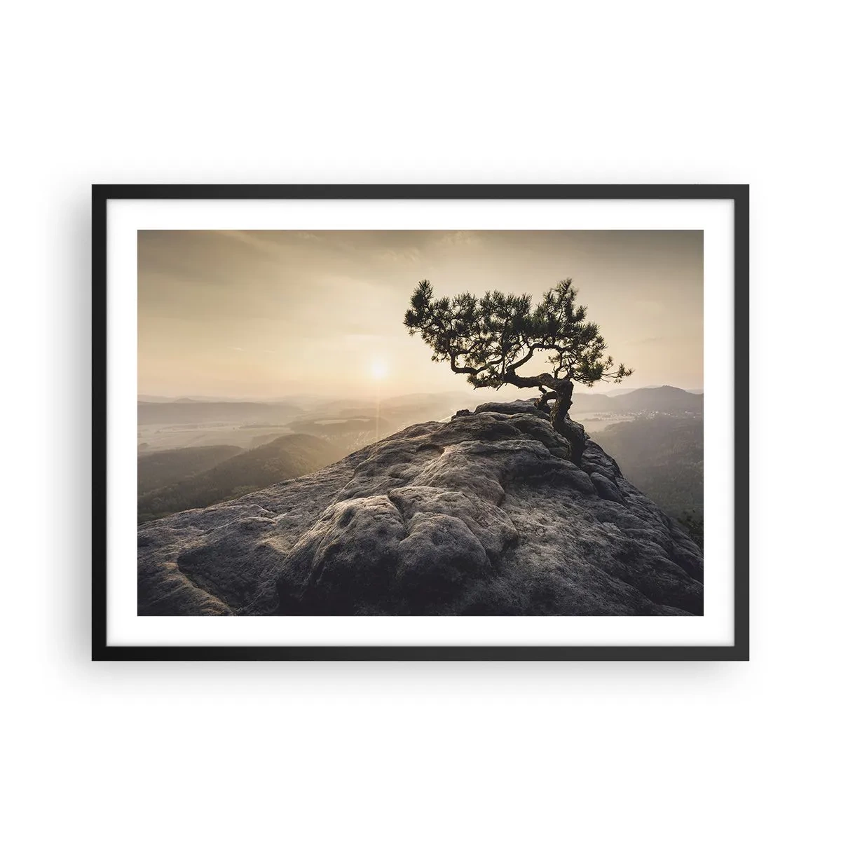 Plakát v černém rámu - Život vždy vítězí - 70x50 cm