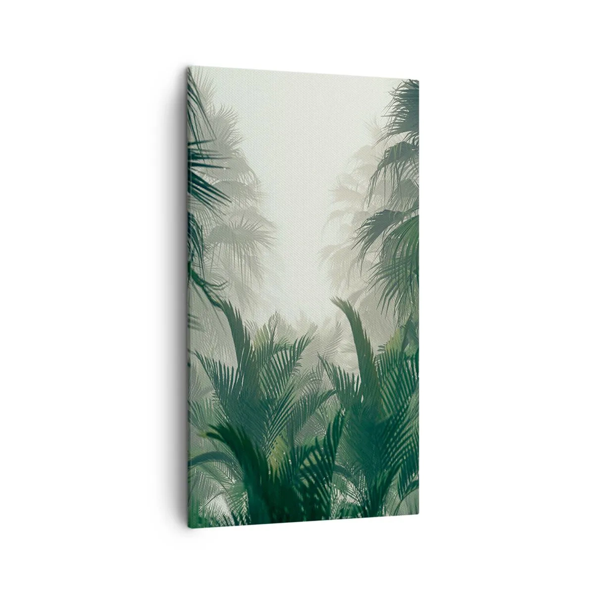 Obraz na plátně - Tropická záhada - 45x80 cm