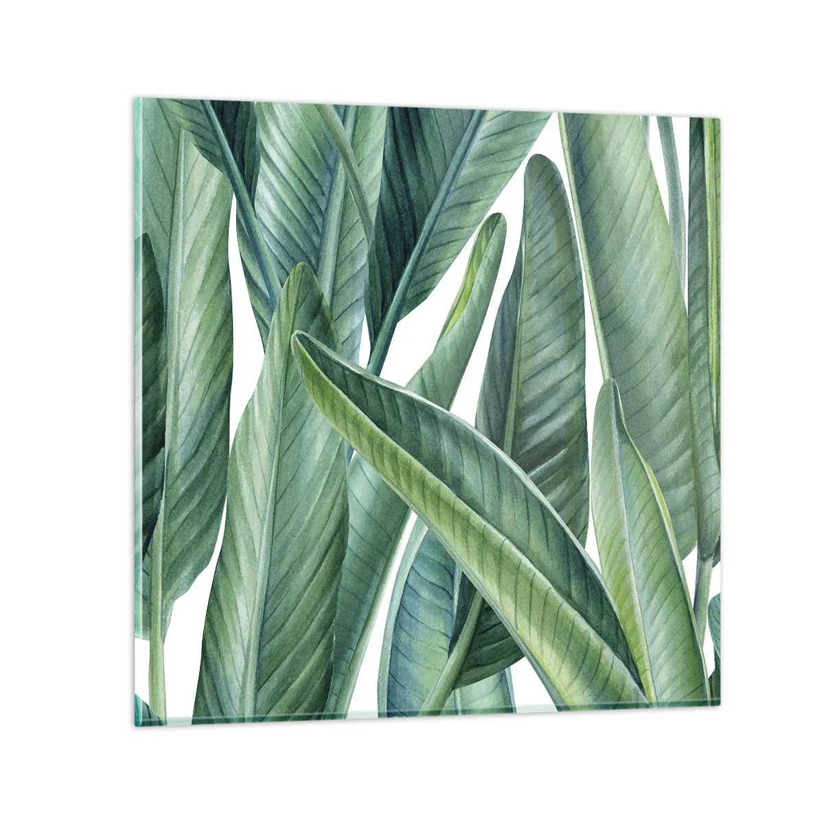 Obraz na skle - Prostě zelená - 60x60 cm