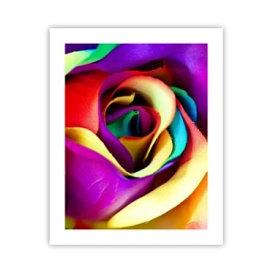 Plakát - To není možné - 40x50 cm