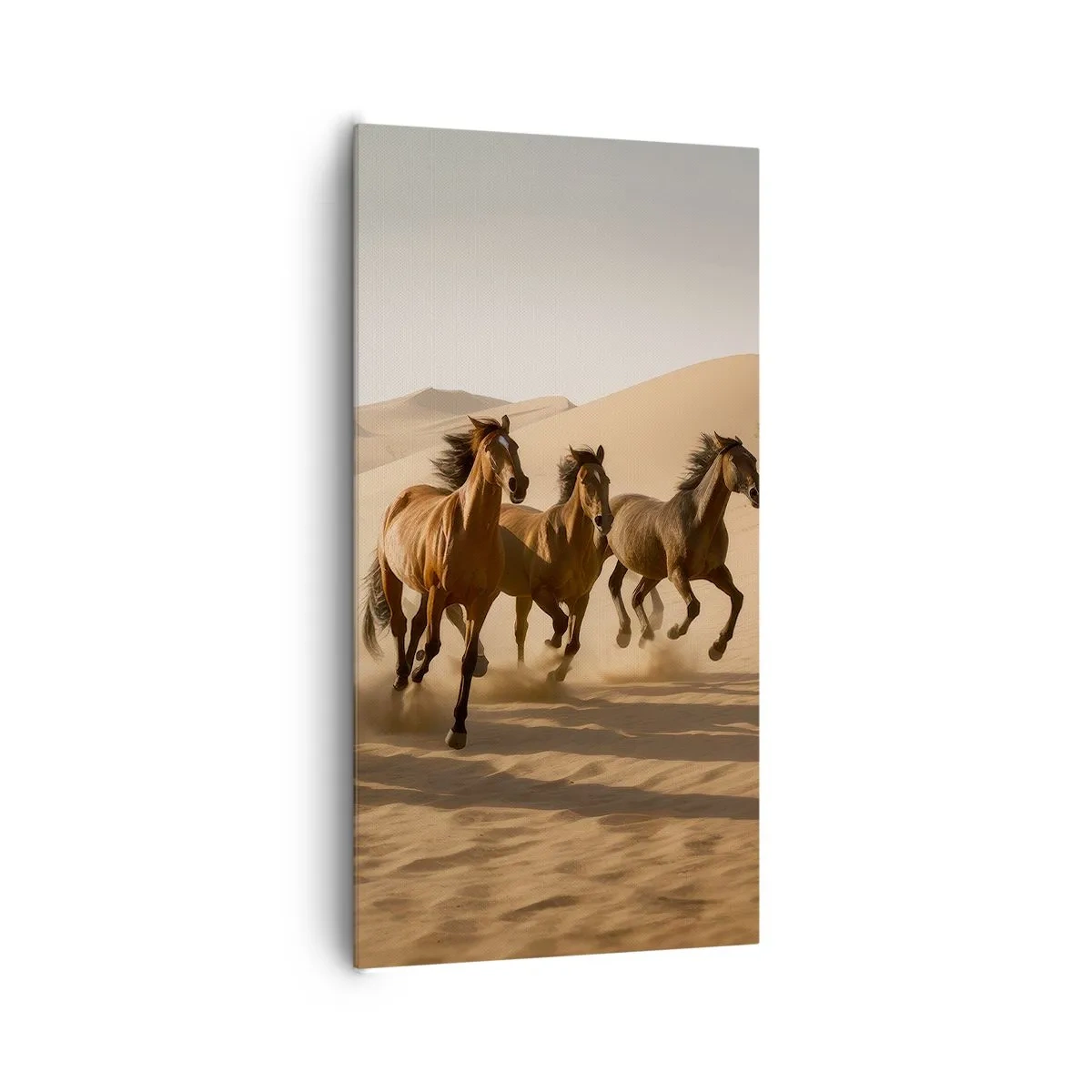 Obraz na plátně - Volné jako vítr - 65x120 cm