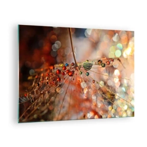 Obraz na skle - Kapky vody na jemné pavučině v bokeh světle - 70x50cm - Navlečeno na pavučinu - Moderní nástěnná dekorace do obývacího pokoje a ložnice ARTTOR
