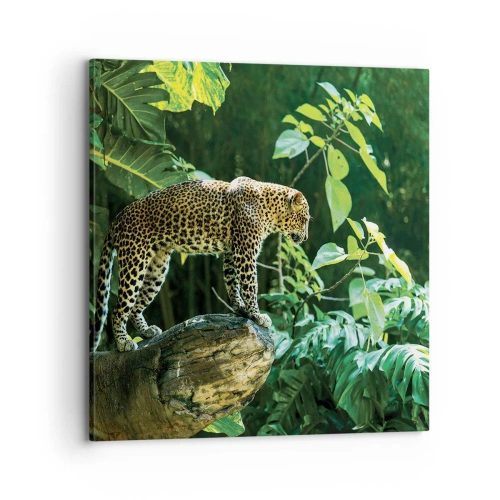 Obraz na plátně - Na lov? - 70x70 cm