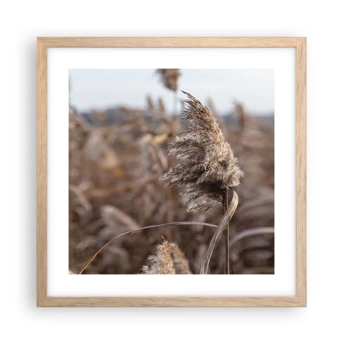 Plakát v rámu světlý dub - Čas odletět s větrem - 40x40 cm