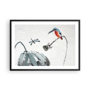 Plakát v černém rámu - Život louky - 70x50 cm