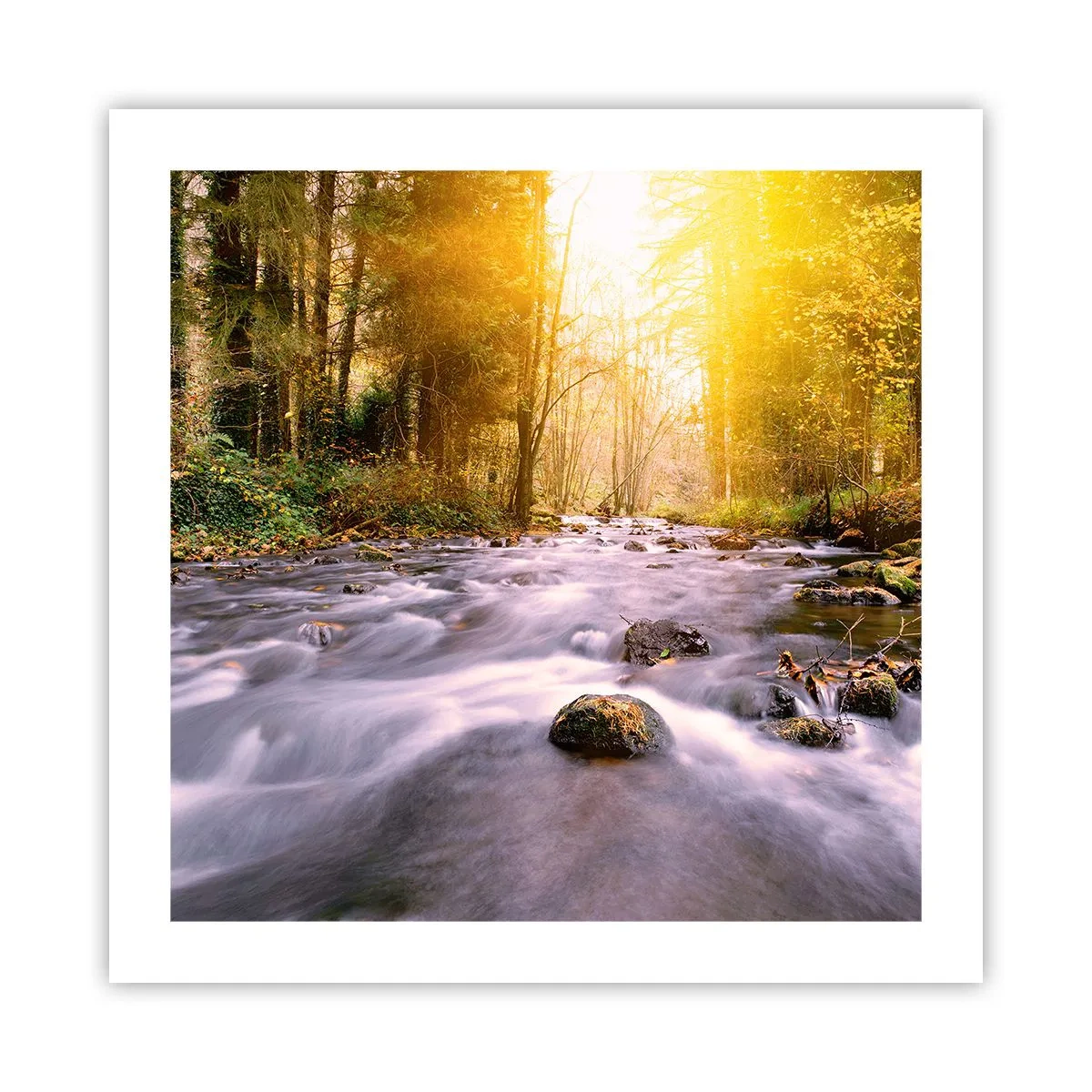 Plakát - Malachit ve stříbrně-zlaté podobě - 50x50 cm