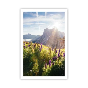 Plakát - Tajemný život bylin - 61x91 cm