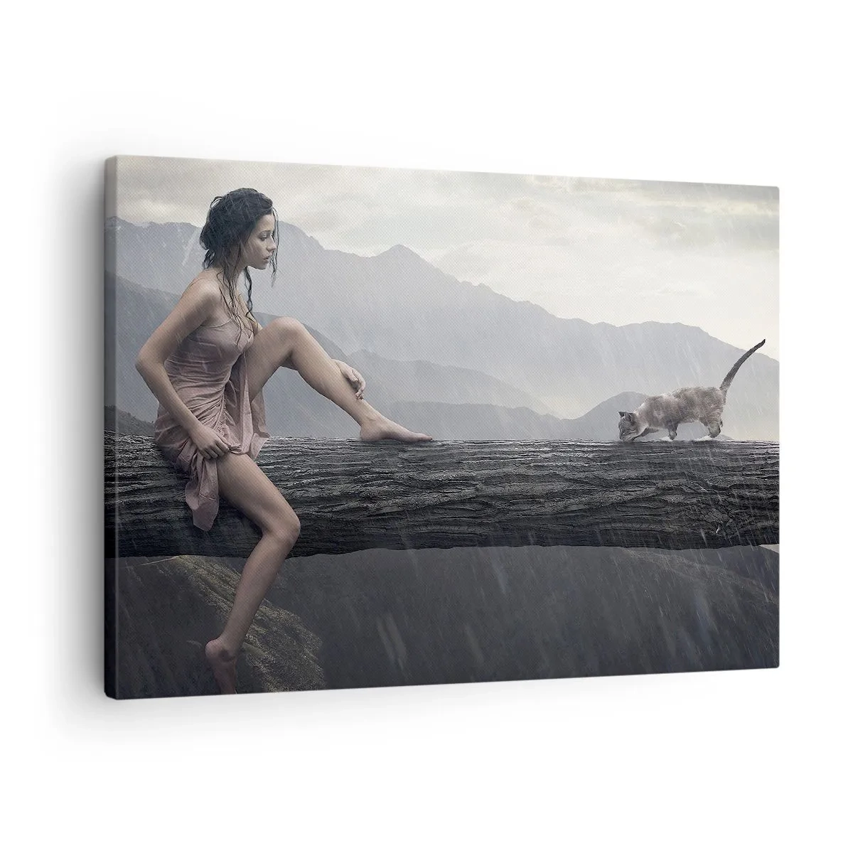 Obraz na plátně - Žena a kočka na kmeni stromu v dešti s výhledem na hory. - 70x50cm - Vrcholy krásy - Moderní nástěnná dekorace do obývacího pokoje a ložnice ARTTOR