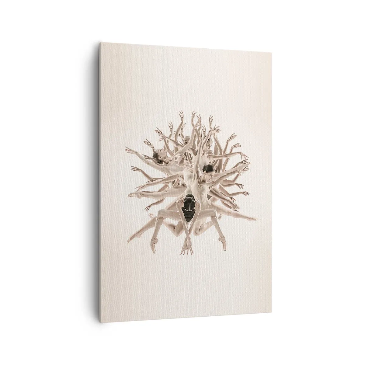 Obraz na plátně - Rozkvět v tanci - 70x100 cm