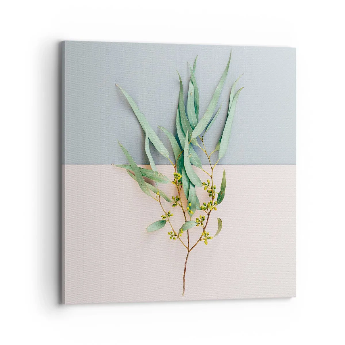 Obraz na plátně - Pastelová jemnost - 70x70 cm