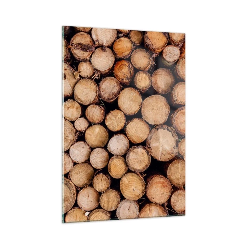 Obraz na skle - Nový začátek - 50x70 cm