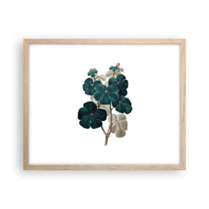 Plakát v rámu světlý dub - Ze starého herbáře - 50x40 cm
