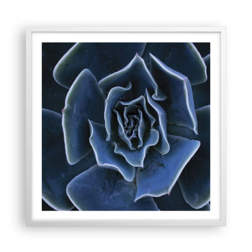 Plakát v bílém rámu - Pouštní květ - 60x60 cm