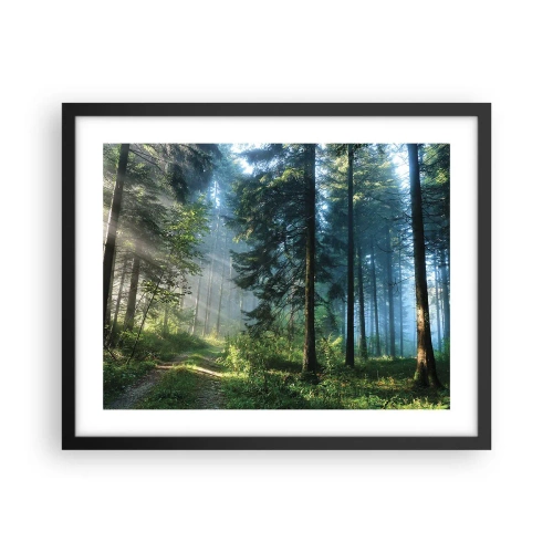 Plakát v černém rámu - Zářící za úsvitu - 50x40 cm