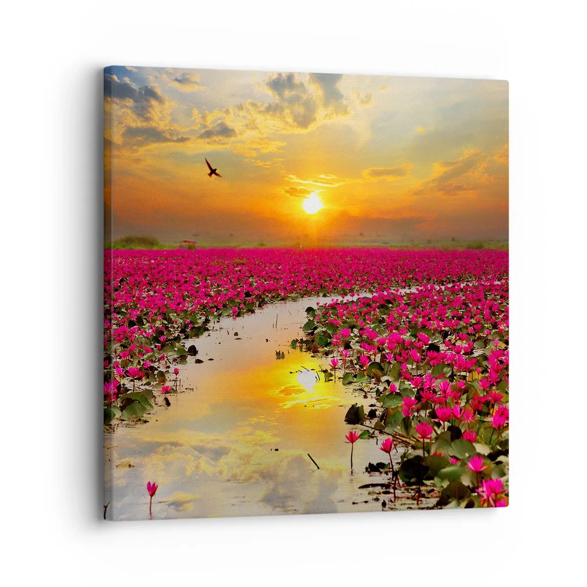 Obraz na plátně - Tajemný život jezera - 30x30 cm