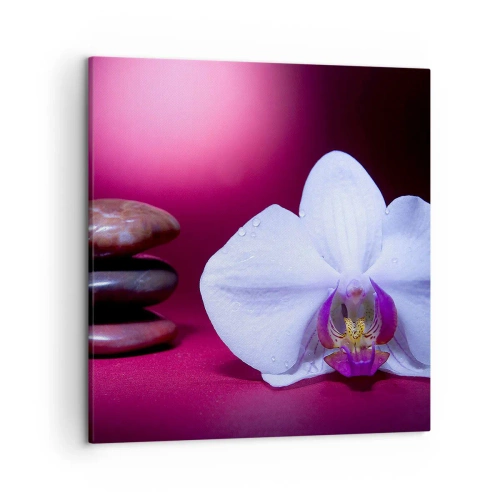 Obraz na plátně - Studie svěžesti ve fialové - 50x50 cm