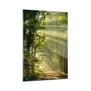 Obraz na skle - Lesní okamžik - 50x70 cm