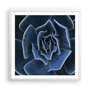 Plakát v bílém rámu - Pouštní květ - 60x60 cm
