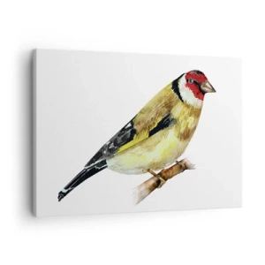 Obraz na plátně - Pták s červenou hlavou na větvi - 70x50cm - Ptáčí portrét - Moderní nástěnná dekorace do obývacího pokoje a ložnice ARTTOR