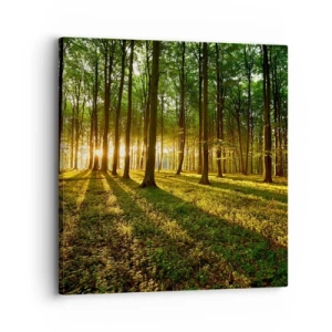 Obraz na plátně - Fotografie všech jar - 30x30 cm