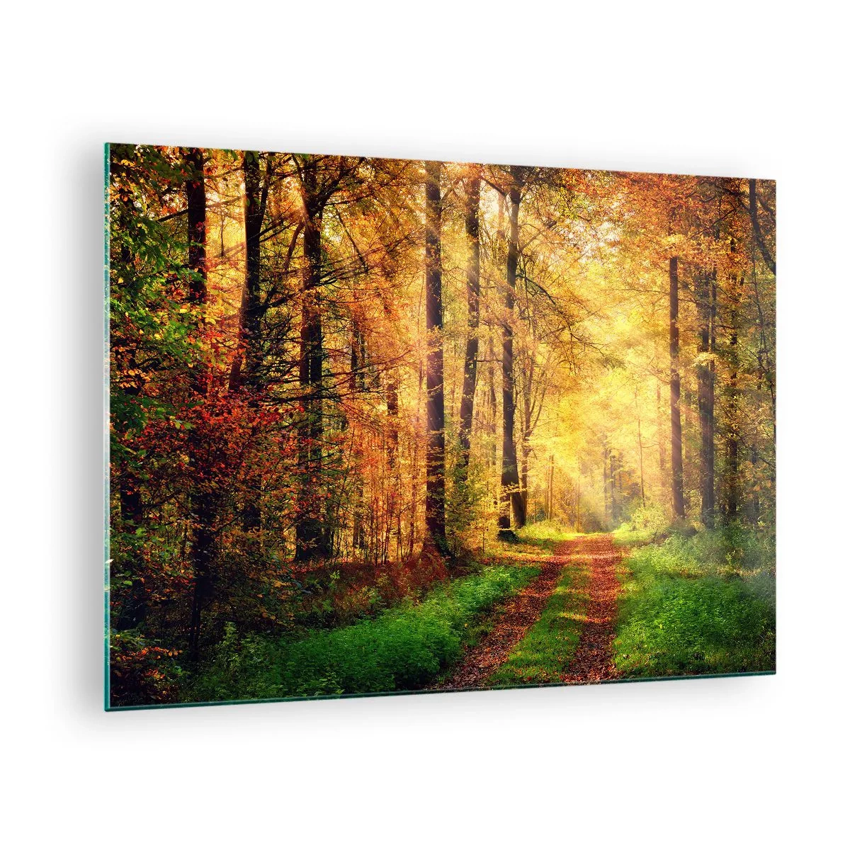 Obraz na skle - Podzimní cesta v lese se slunečními paprsky - 70x50cm - Lesně-zlaté ticho - Moderní nástěnná dekorace do obývacího pokoje a ložnice ARTTOR