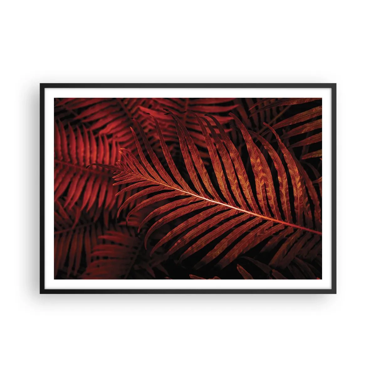 Plakát v černém rámu - Žár života - 100x70 cm
