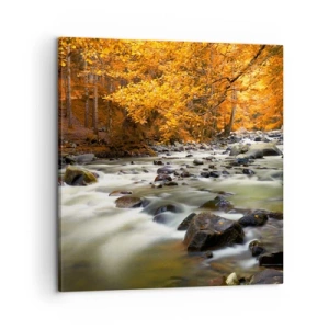 Obraz na plátně - Potok ve zlatém lese - 60x60 cm