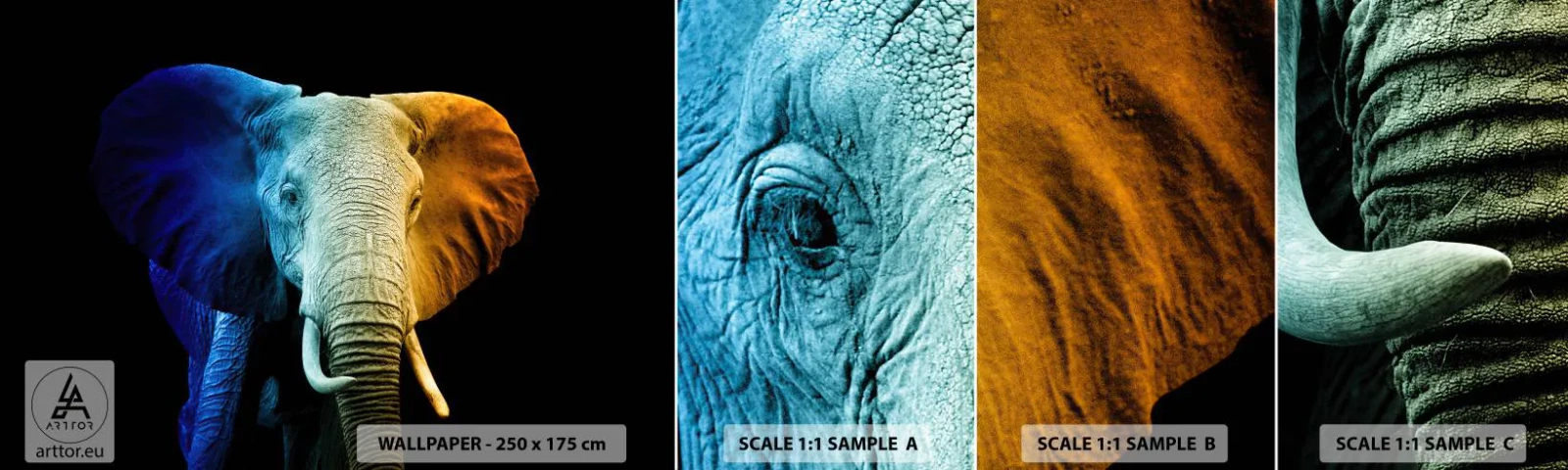 Fototapeta Vzorek Standard Eco - Výstřední muž, ale ne podivín - Abstrakce, Slon, Zvířata - 100x30 cm