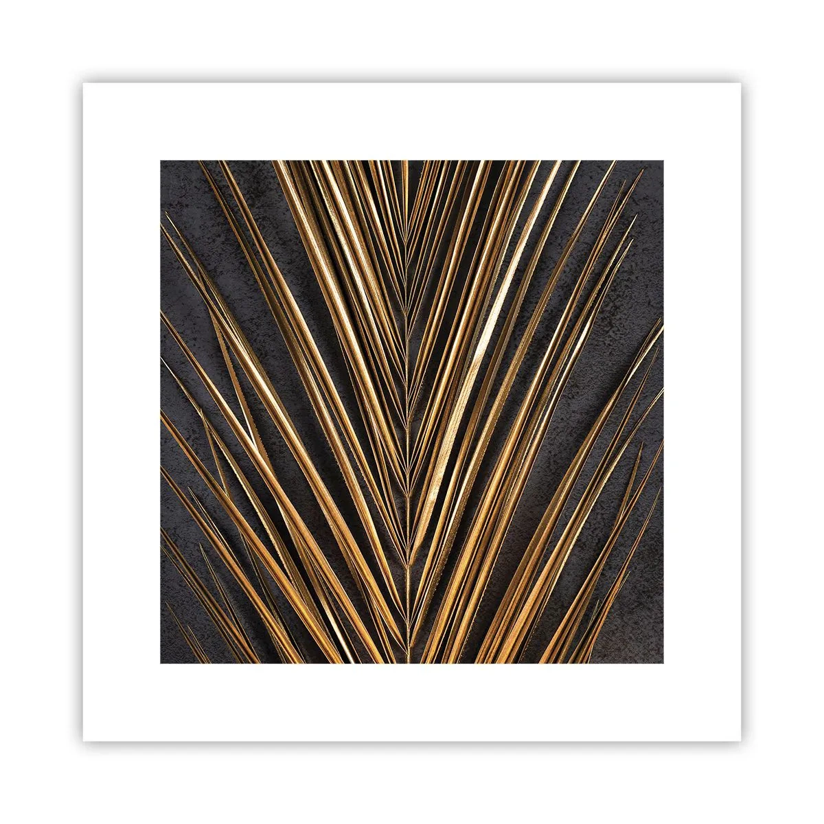 Plakát - Zlato tropů - 30x30 cm
