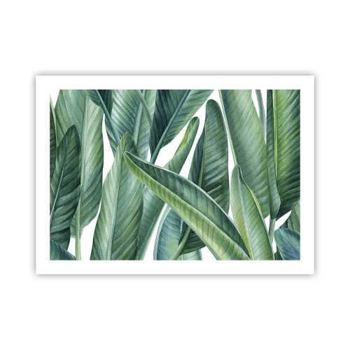 Plakát - Prostě zelená - 70x50 cm