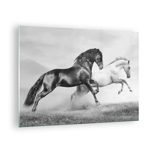 Obraz na skle - Černí a bílí koně v dynamickém prostředí - 70x50cm - Andělé a démoni - Moderní nástěnná dekorace do obývacího pokoje a ložnice ARTTOR
