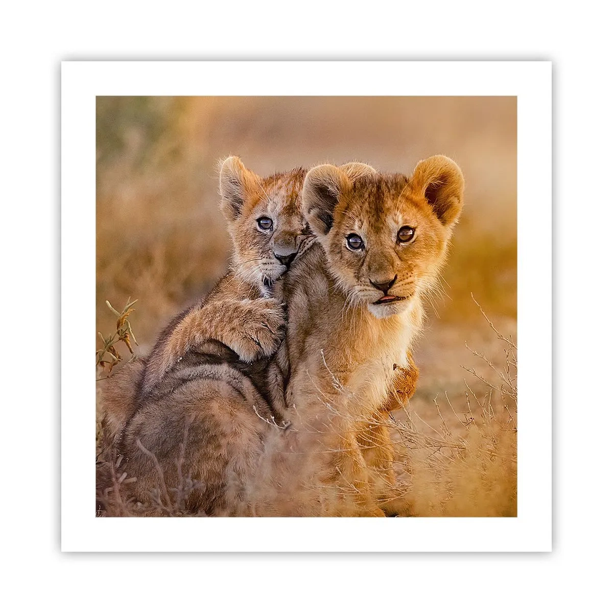 Plakát - Nevyrušovat! Hrajme si - 50x50 cm