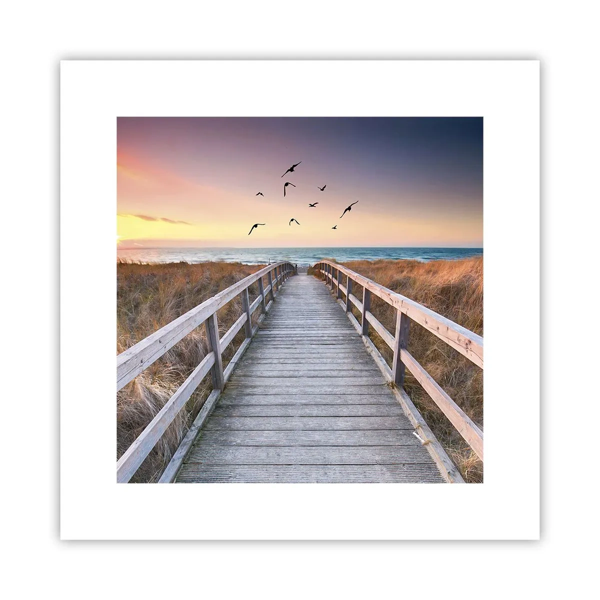 Plakát - Prostor pro vzestupy - 30x30 cm