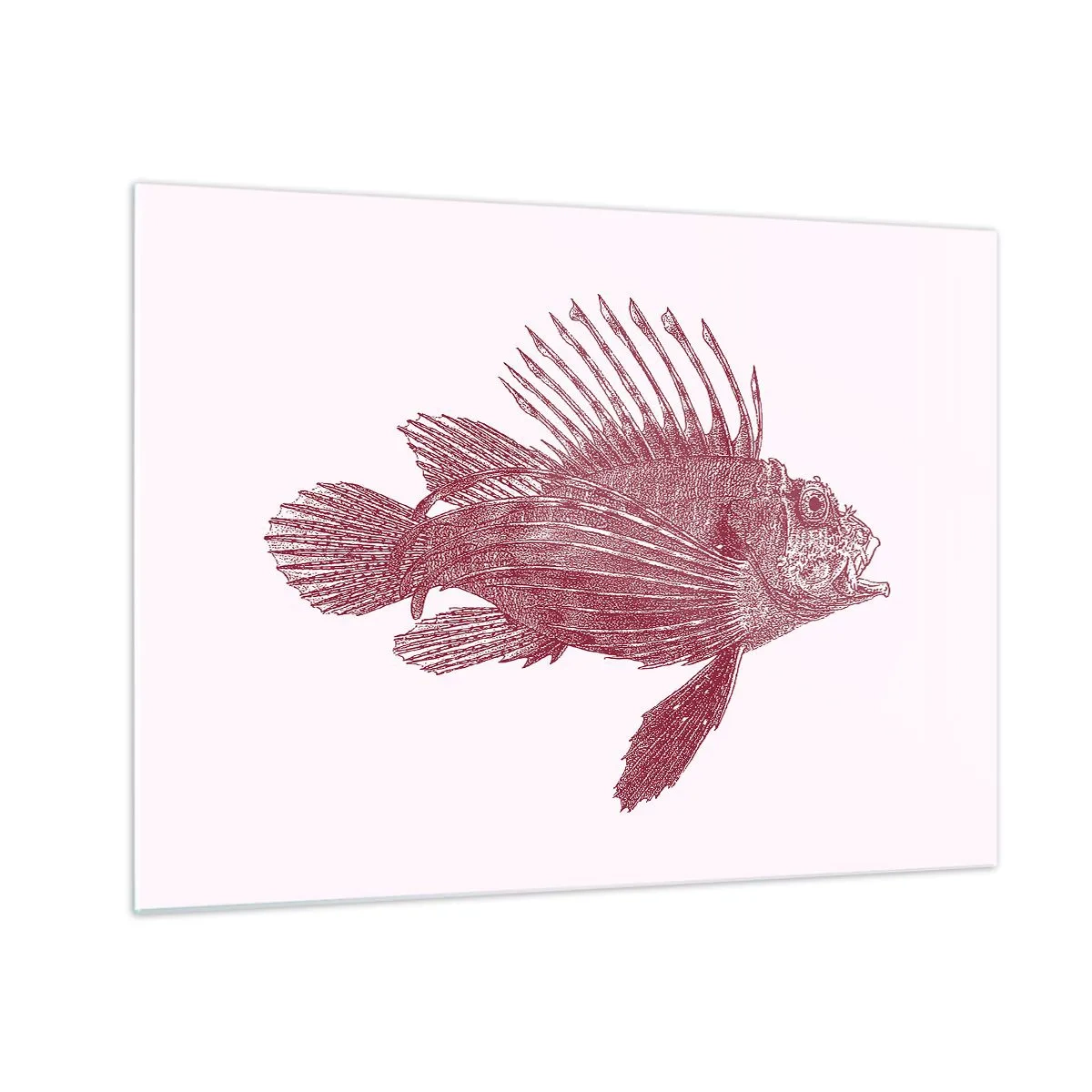 Obraz na skle - Náčrt exotické ryby v vínové barvě na světlém pozadí - 70x50cm - Obyvatelka exotických vod - Moderní nástěnná dekorace do obývacího pokoje a ložnice ARTTOR
