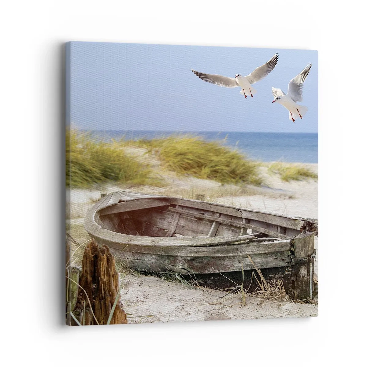 Obraz na plátně - Větrem ozářené - 40x40 cm