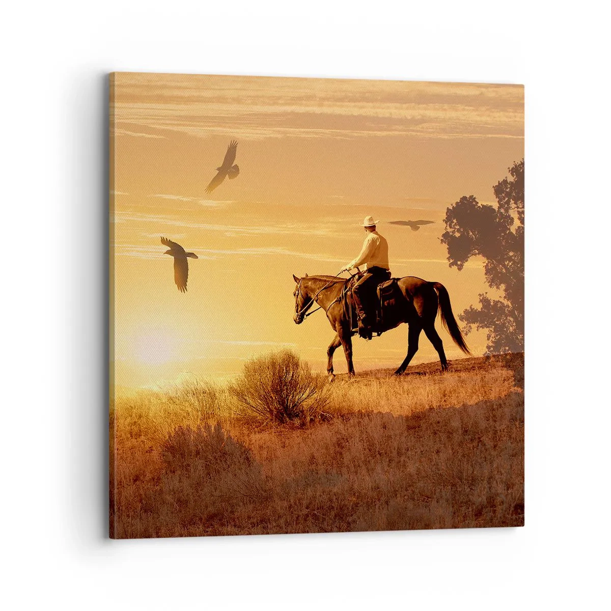 Obraz na plátně - Sám prérií - 70x70 cm