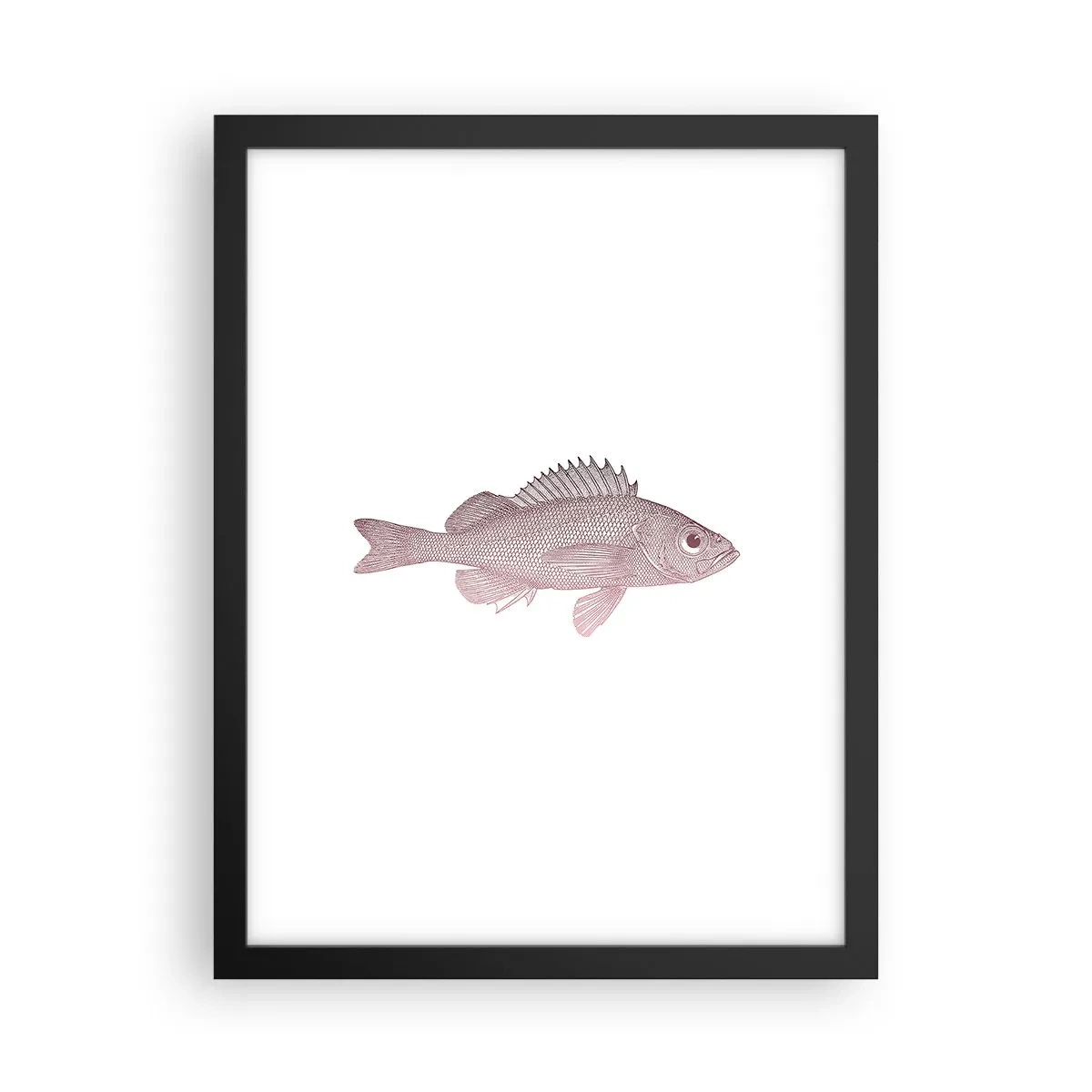 Plakát v černém rámu - Ryba s velkýma očima - 30x40 cm
