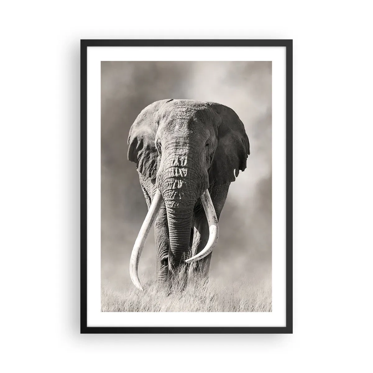 Plakát v černém rámu - Monochromatický portrét majestátního slona - 50x70cm - Africký patriarcha - Moderní nástěnná dekorace do obývacího pokoje a ložnice ARTTOR