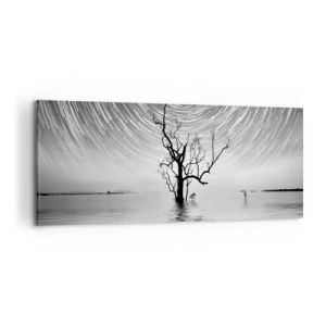 Obraz na plátně - Symfonie přírody - 100x40 cm