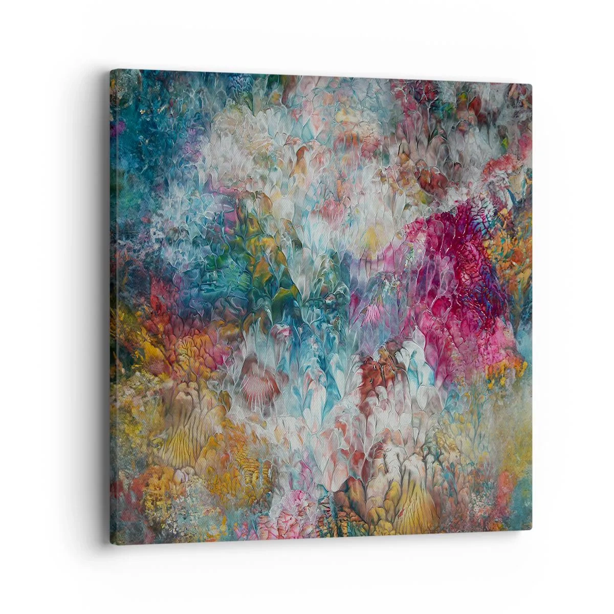 Obraz na plátně - V plném rozkvětu - 40x40 cm