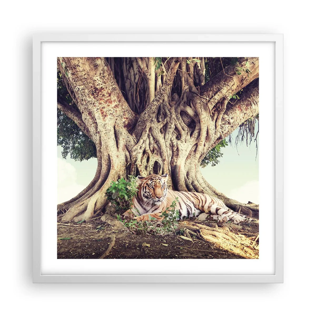 Plakát v bílém rámu - Pohled z knihy Mojžíšovy - 50x50 cm