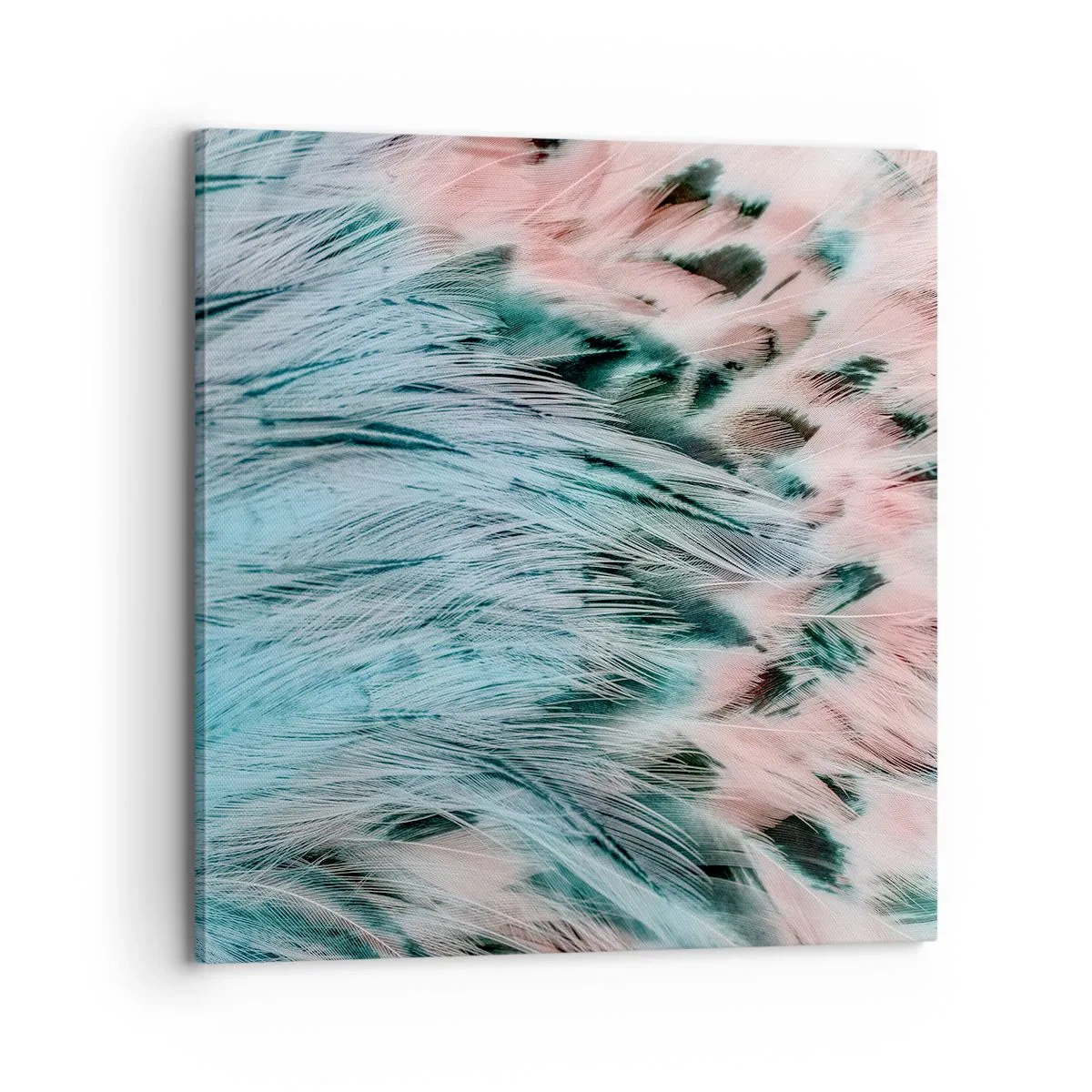 Obraz na plátně - Safírově růžové chmýří - 70x70 cm