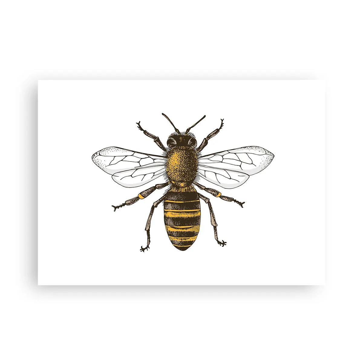 Plakát - Krásná a dobrá - 70x50 cm