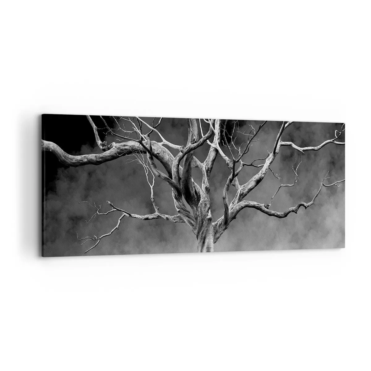 Obraz na plátně - Původní a svaté - 120x50 cm
