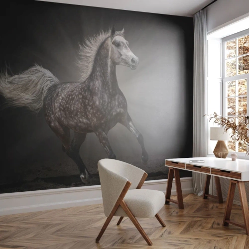 Fototapeta Standard Eco - Šedé je krásné - Zvířata, Arabský kůň, Příroda - 400x280 cm
