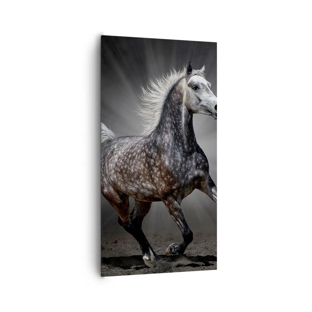 Obraz na plátně - Šedé je krásné - 65x120 cm