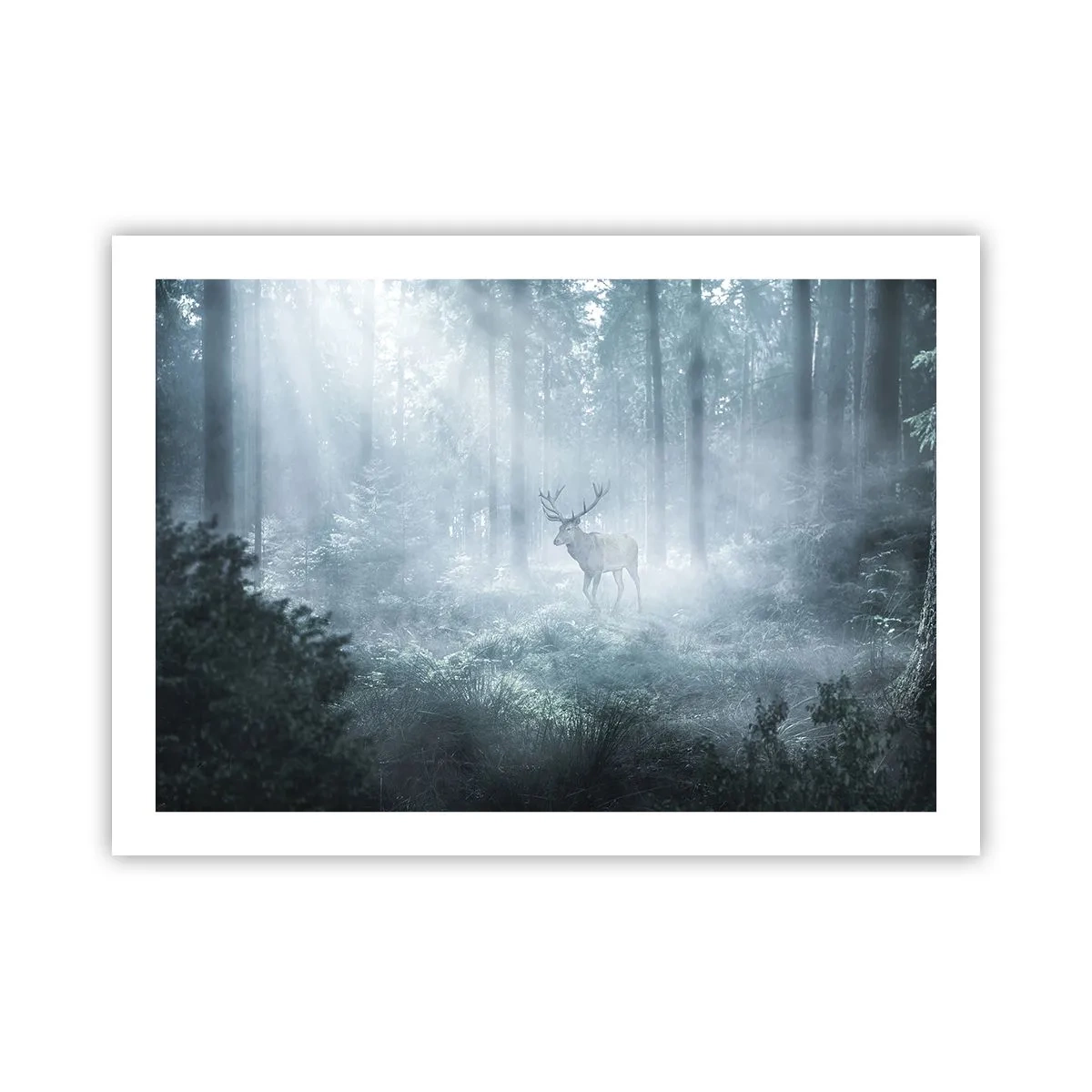 Plakát - Ranní obchůzka sídliště - 70x50 cm