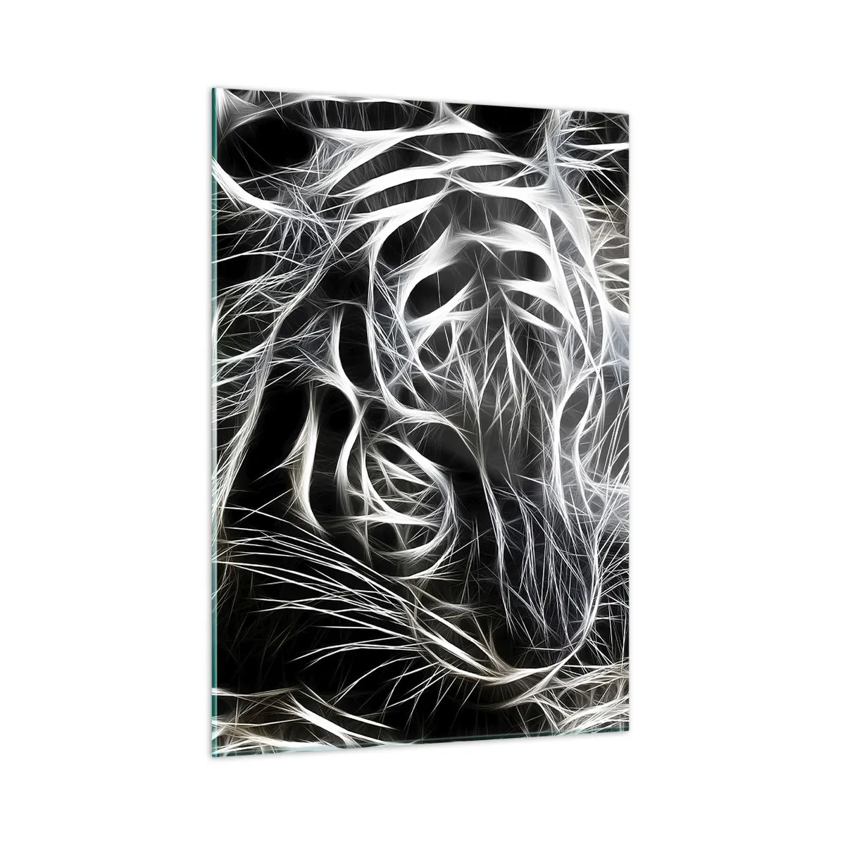 Obraz na skle - Studie kočičí lehkosti - 50x70 cm